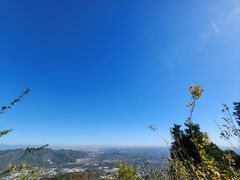 -北京西山国家森林公园