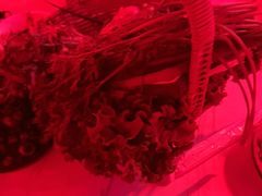 -路边边.炒菜烧烤.音乐餐厅(良乡长虹店)