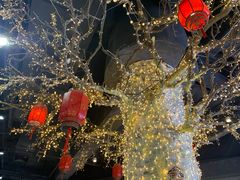 -付小姐在成都(吾悦广场店)