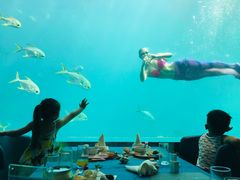 -瑞德姆美人鱼海底演艺主题餐厅(亚龙湾店)