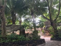 -海口观澜湖火山温泉谷