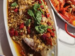 -杨氏青龙虾·羊蝎子(托乐嘉店)