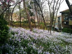 -贮水山儿童公园