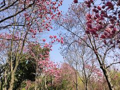 -荆川公园