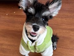 -FAELING PETS美天灵宠物(富力广场店)