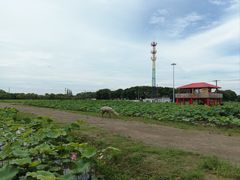 -嘉北郊野公园