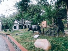 -广州神农草堂中医药博物馆