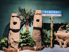 -重庆欢乐海底世界