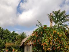 -重庆平顶山公园