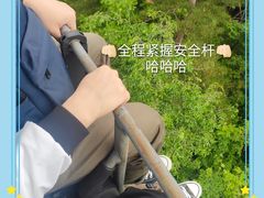 -富斯特索道