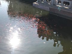 -蛙小侠(威高广场店)