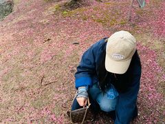 -白塘生态植物园