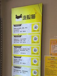 -洗脸猫·洗脸吧