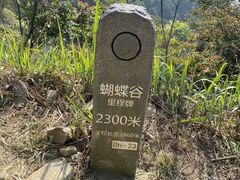 -梧桐山风景名胜区