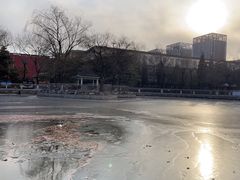 -黄村公园