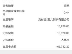 -天鹅到家·保姆月嫂育儿嫂(浦东店)