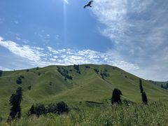-新疆那拉提国家旅游度假区