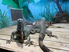 -石家庄市动物园