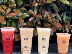 -茉沏(光启城店)