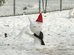 -南京理工大学紫金学院