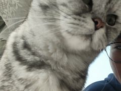 -共舞时光猫咖·狗咖(新街口店)