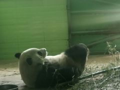 -石家庄市动物园