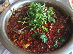 -胖大姐黄辣丁鱼庄(新津店)