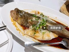 -眉州东坡(上海中心店)