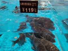 -艳阳天·非遗楚菜(武汉客厅店)