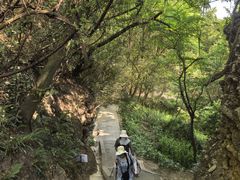 -窦圌山风景区