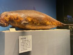 -天津自然博物馆