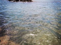 -日照灯塔风景区