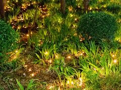 -洛阳市隋唐城遗址植物园
