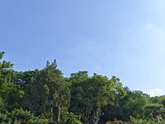 -云龙山