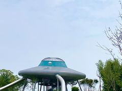 -空港花田景区