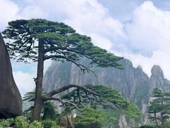 -黄山风景区