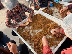 -苏州市吴中区光福窑上花果蜜饯厂