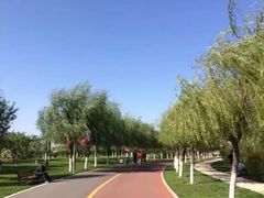 -武清南湖绿博园