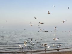 -老虎石海上公园