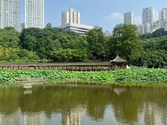-龙头寺公园