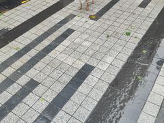 -万科美好广场