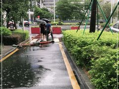 -深圳大学总医院