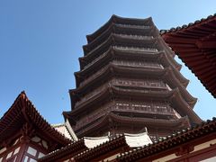 -永定河休闲森林公园