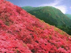 -木兰云雾山