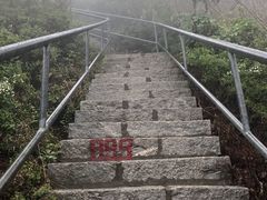 -金龙寺国家森林公园