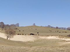 -塞罕坝国家级自然保护区