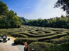 -大屏嶂森林公园