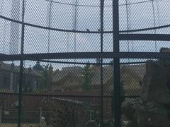 -清风小镇闯关东影视基地