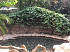 -龙达温泉生态城