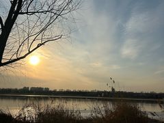 -绿堤公园